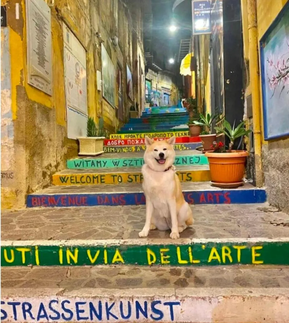 La Porta Dei Venti Apartment Agrigento 0*,  Italy